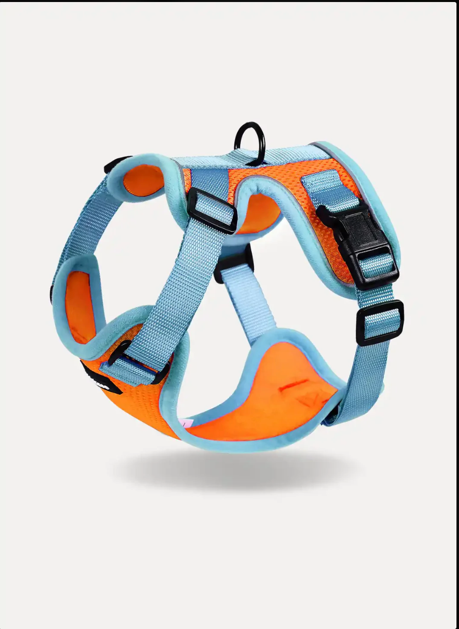 Puppy Harness with Leash Adjustable Comfortable