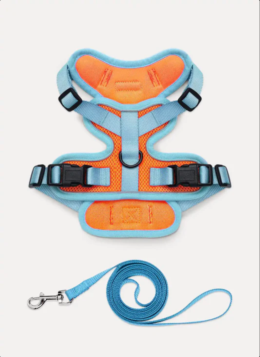 Puppy Harness with Leash Adjustable Comfortable